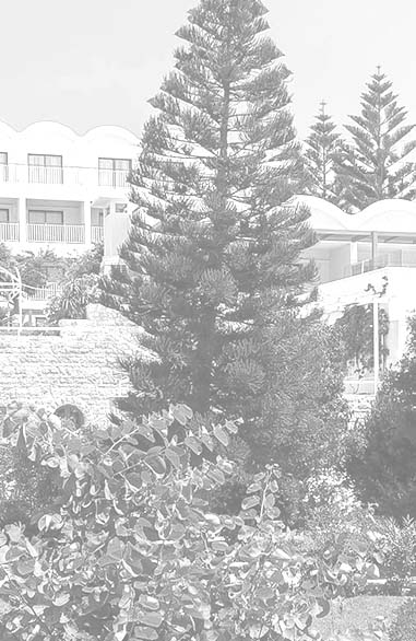 The Hotel